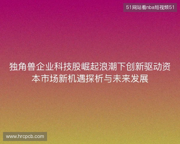独角兽企业科技股崛起浪潮下创新驱动资本市场新机遇探析与未来发展
